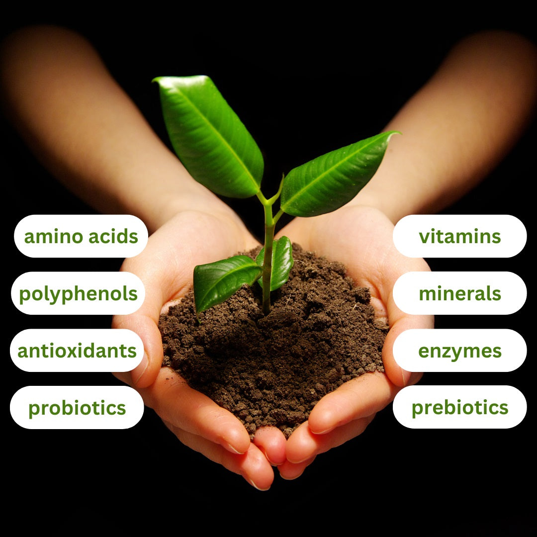 humic and fulvic acid, fulvic acid, shilajit, humic and fulvic acid supplement, joint health, energy, immune, gut health, perfect supplement, fulvic, humic