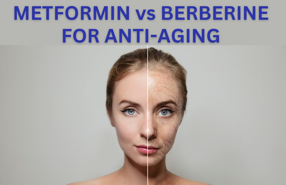 Metformin vs Berberine as an Anti-Aging Treatment, metformin, NMN, Dr Sinclair, anti-aging