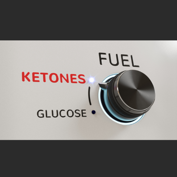 The Ketogenic Path: Exploring Health Effects of Low-Carb Ketone Production