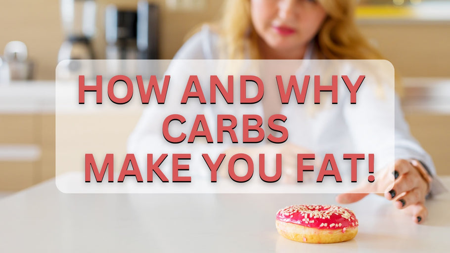 How and Why Carbs Make You Fat Understanding the Science Behind It