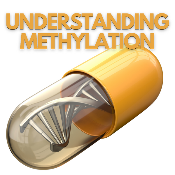 Understanding Methylation - Unveiling the Mystery of Nutrient Utilization